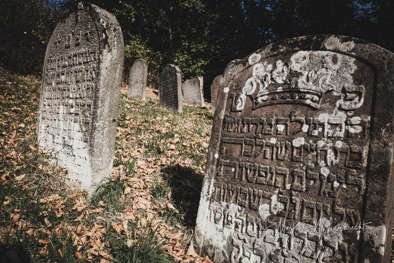 Tann (Rhön), Jüdischer Friedhof